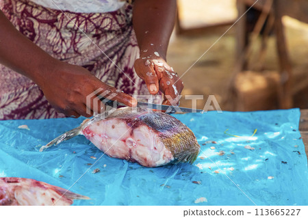 Fresh fish food at the local market, Toamasina, Madagascar 113665227
