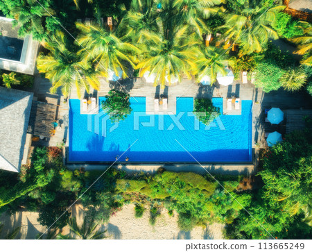 Aerial view of swimming pool, sunbeds and umbrellas, green palms 113665249