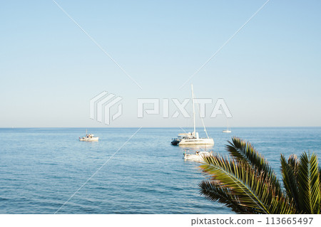 Ocean background with palm trees nearby and yachts in the distance 113665497
