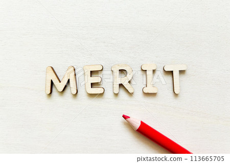merit merit 113665705