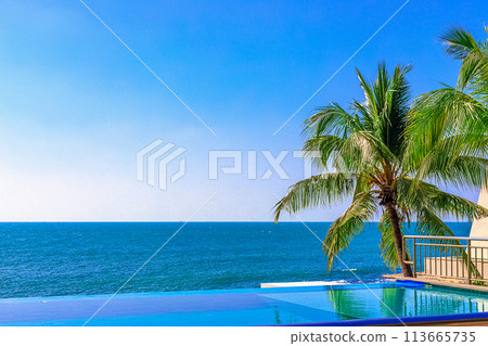 View of the outdoor pool by the sea. There is a lush palm tree next to the pool. Sanya, China. 113665735