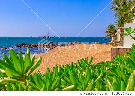 View of the shore of the South China Sea with a sandy beach, palm trees and plants, large stones. 113665736