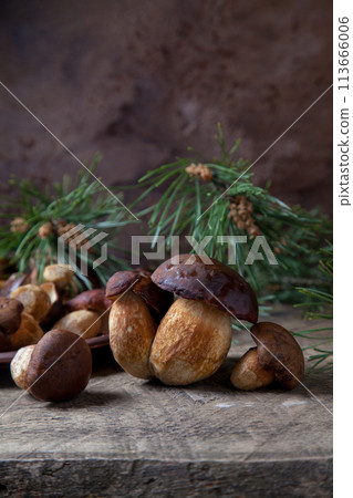 Imleria Badia or Boletus badius mushrooms commonly known as the bay bolete and clay plate with mushrooms on vintage wooden background.. 113666006