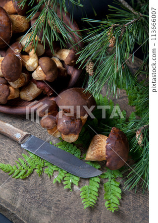 Imleria Badia or Boletus badius mushrooms commonly known as the bay bolete, clay plate with mushrooms and knife on vintage wooden background.. 113666007