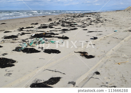 Coastal wreckage Environmental problems Garbage problems Coastal wreckage Environmental problems Garbage problems 113666288