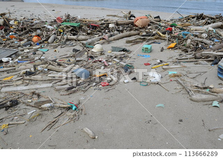 Coastal wreckage Environmental problems Garbage problems 113666289
