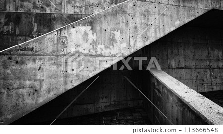 A black and white photo of a skateboarder on concrete stairs, AI 113666548