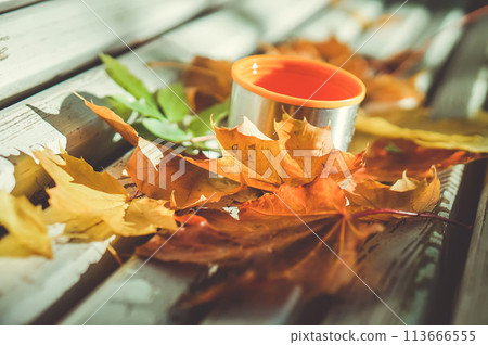 Autumn vibe - thermos cup (mug) and orange leaves on the bench. Spending time in the autumn park. 113666555