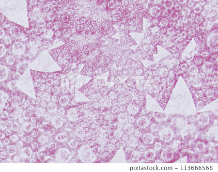 Circle and triangle space-like and fantastical artwork with the texture of Japanese paper, purple 113666568