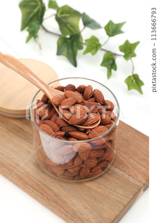 看起來美味的杏仁 113666793