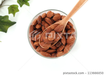 看起來美味的杏仁 看起來美味的杏仁 113666850