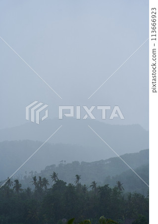A tropical rainstorm in a rice field with cascading mountains and palm trees. A tropical rainstorm in a rice field with cascading mountains and palm trees. 113666923
