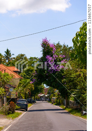 A person on a motorcycle rides a scenic asphalt road in Asia. 113667057