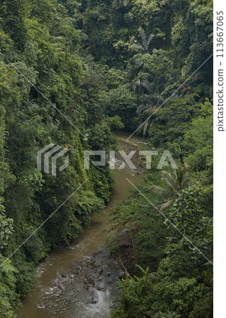Top view of a dirty mountain river flowing in the jungle. Top view of a dirty mountain river flowing in the jungle. 113667065
