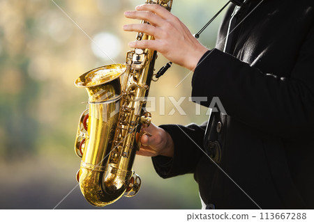 Autumn music Autumn music 113667288