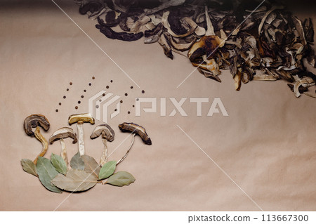 Flatlay (top-down view) of a composition of dried forest white mushrooms (porcini, penny bun) - mushrooms in the rain. Flatlay (top-down view) of a composition of dried forest white mushrooms (porcini, penny bun) - mushrooms in the rain. 113667300