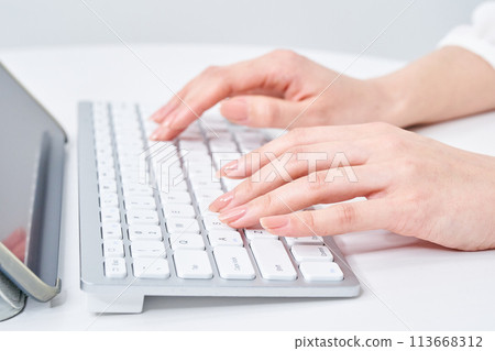 在鍵盤上打字的女人的手 113668312
