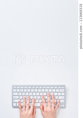 在鍵盤上打字的女人的手 在鍵盤上打字的女人的手 113668318