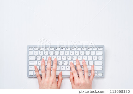A woman's hands typing on a keyboard 113668320