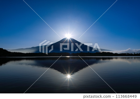 靜岡縣富士宮市春天的狸貓W鑽石富士 113668449