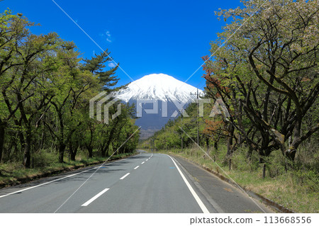 從新綠的富士裾野全景路看到的富士山 113668556