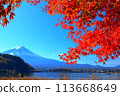 A view of Mt. Fuji shining against the blue sky with the autumn leaves of Lake Kawaguchi in the foreground 113668649