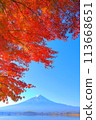 A view of Mt. Fuji shining against the blue sky with the autumn leaves of Lake Kawaguchi in the foreground 113668651