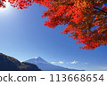 A view of Mt. Fuji shining against the blue sky with the autumn leaves of Lake Kawaguchi in the foreground 113668654