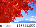 A view of Mt. Fuji shining against the blue sky with the autumn leaves of Lake Kawaguchi in the foreground 113668655