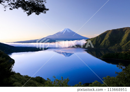 Inverted Mt. Fuji at Lake Motosu, Yamanashi Prefecture 113668951