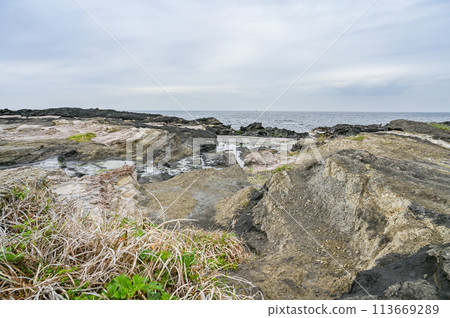 神奈川縣三浦市城島 113669289