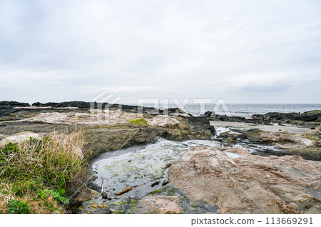 神奈川縣三浦市城島 113669291