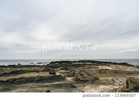神奈川縣三浦市城島 113669307