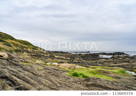 Jogashima, Miura City, Kanagawa Prefecture Jogashima, Miura City, Kanagawa Prefecture 113669359