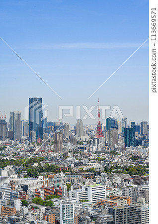 首都東京的都市景觀 113669571