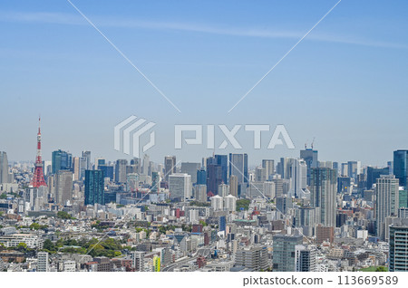 Tokyo capital cityscape 113669589