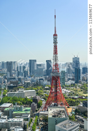 Tokyo capital cityscape Tokyo capital cityscape 113669677