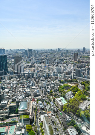 Scenery in Tokyo Scenery in Tokyo 113669704