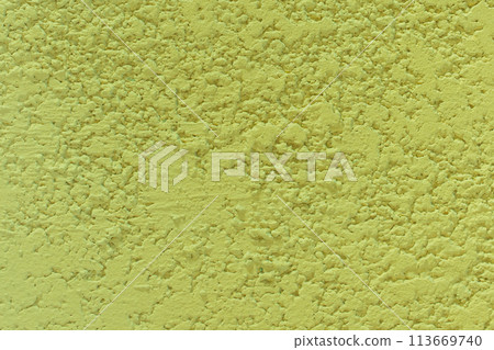 Light green salad color texture plaster wall rough stucco background solid abstract pattern structure 113669740
