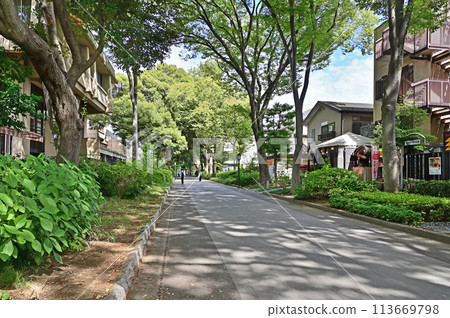 中山道大宮宿散步/武藏一宮冰川神社冰川參道 中山道大宮宿散步/武藏一宮冰川神社冰川參道 113669798