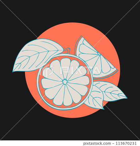 Grapefruit stilyzed hand drawing sketch on color circle, dark background. Label, emblem, logo, icon. Grapefruit stilyzed hand drawing sketch on color circle, dark background. Label, emblem, logo, icon. 113670231