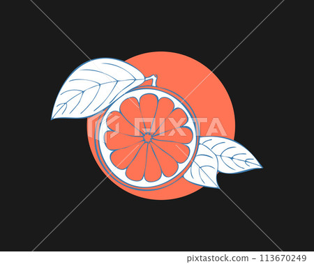 Grapefruit stilyzed hand drawing sketch on color circle, dark background. Label, emblem, logo, icon. Grapefruit stilyzed hand drawing sketch on color circle, dark background. Label, emblem, logo, icon. 113670249