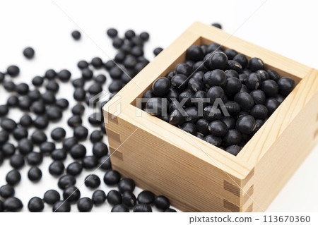 白色背景上的黑大豆 113670360