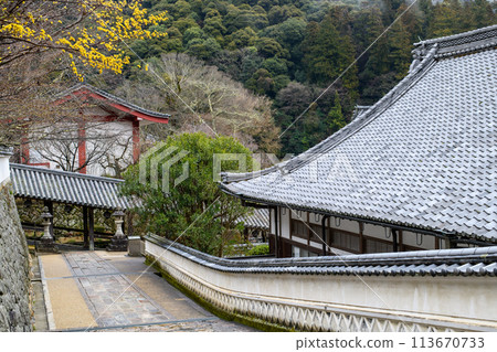 Waiting for spring at Hasedera Temple, precincts, Tororo, Nara Prefecture 113670733