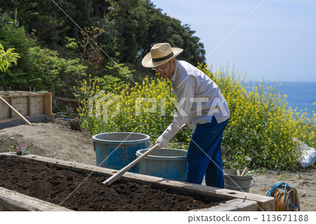 A man happily tilling the soil on a sunny day 113671188