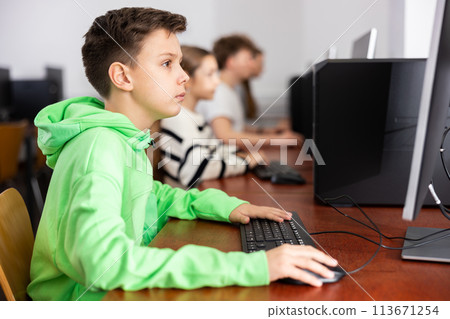 Portrait of students at computers in computer class 113671254