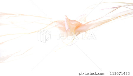 Orange Organza fabric flying in curve shape, Piece of textile orange organza fabric throw fall in air. White background isolated motion blur Orange Organza fabric flying in curve shape, Piece of textile orange organza fabric throw fall in air. White background isolated motion blur 113671453