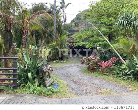 UNESCO heritage nature at Chichi jima Bonin island, Ogasawara. 113671735