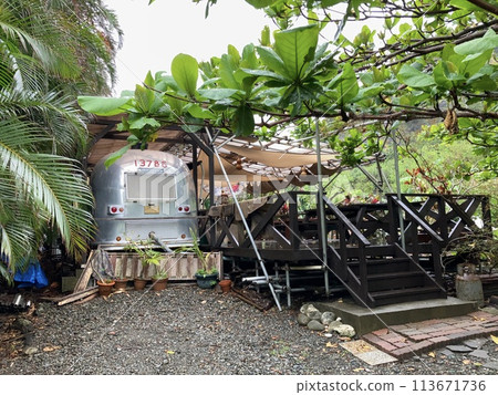 UNESCO heritage nature at Chichi jima Bonin island, Ogasawara. 113671736