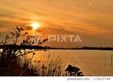 Chiba Prefecture, Teganuma Nature Greenway and evening view from Teganakebono Bridge 113671748